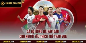 Cá độ bóng đá